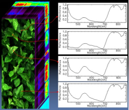 高光譜成像光譜儀的應(yīng)用