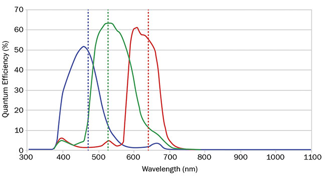 圖 3. RGB 相機的量子效率曲線顯示了紅色、綠色和藍色之間的重疊。 由愛特蒙特光學公司提供。
