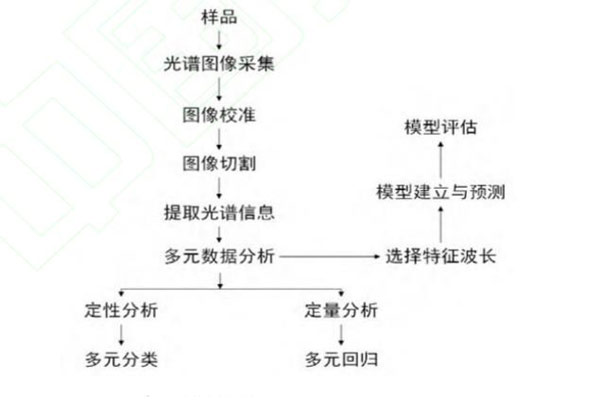 高光譜成像技術(shù)定性定量判別流程0717