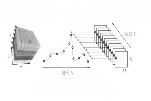 樣本的高光譜圖像數(shù)據(jù)