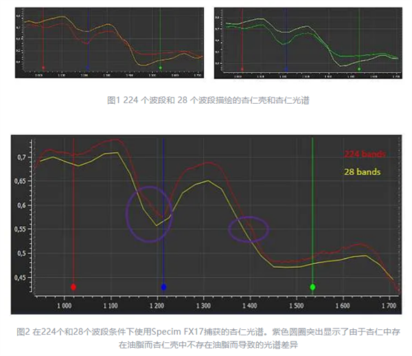 高光譜相機和多光譜相機有什么區(qū)別3