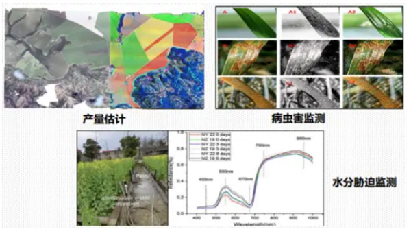 高光譜成像技術行業(yè)應用 (1)